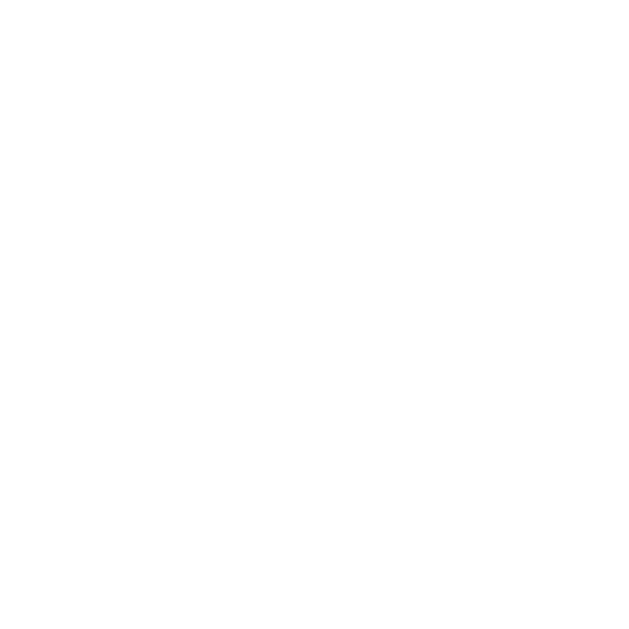  instagram-logo-white