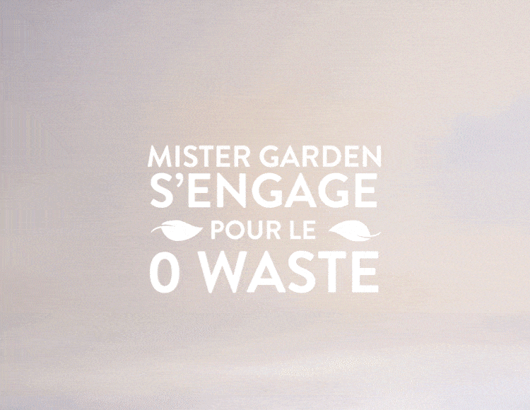 Accueil Restaurants Mister Garden Bars à salades Mister